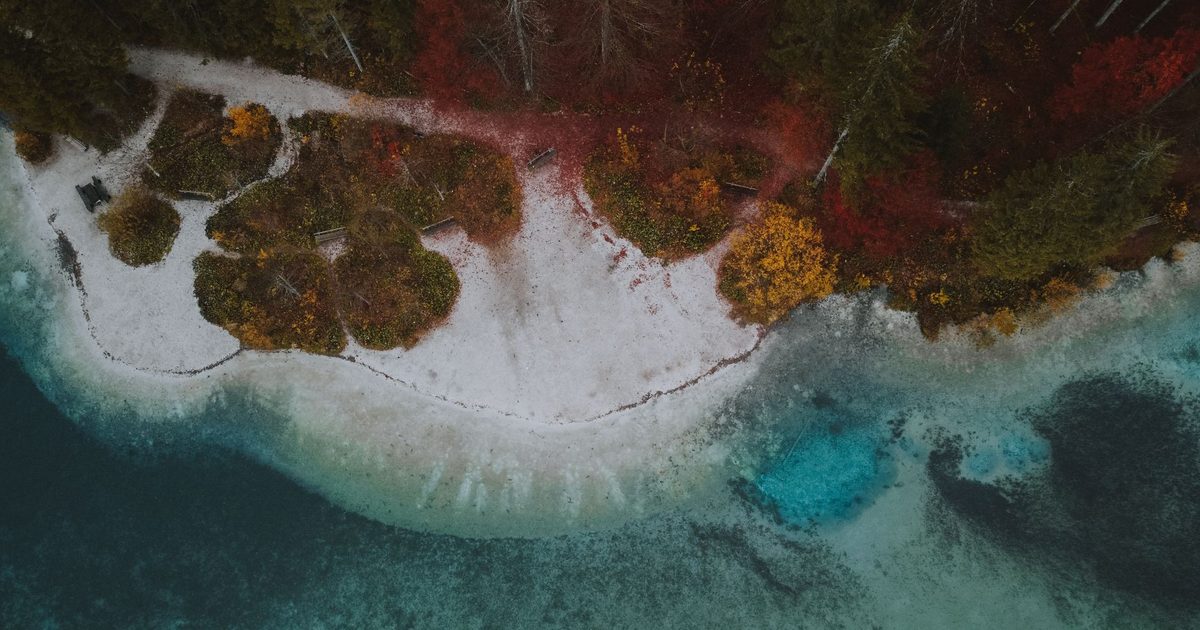 Stunning aerial photograph capturing autumn foliage along a serene lakeshore.